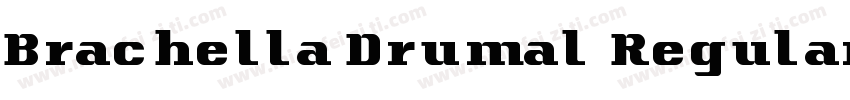 Brachella Drumal Regular字体转换